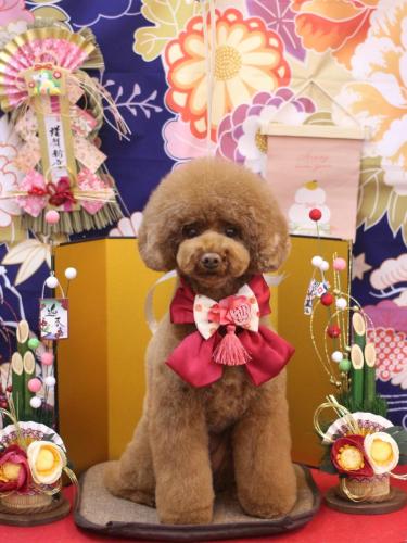 20240107ろこちゃん